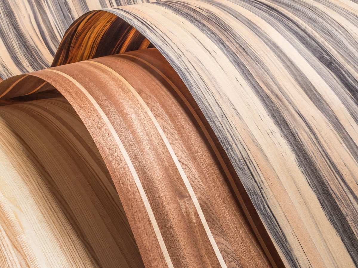 Vinterio_Loop_D4A8934a_final_Header