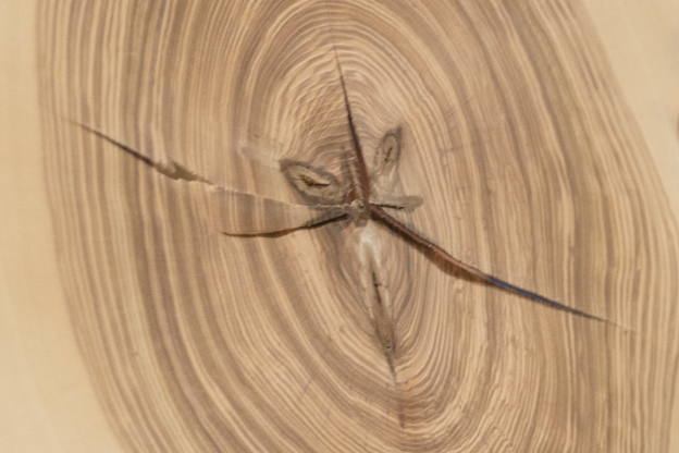 POR_Danzer_Melnik_CZ_202410_167