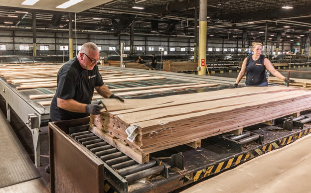 Expert wood grading at the Danzer Darlington facility in Pennsylvania, the central hub for clipping and sorting North American veneer.