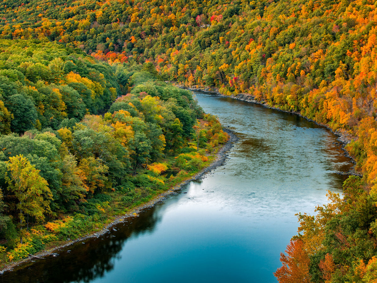 Lumber-and-Logs-Header_NA