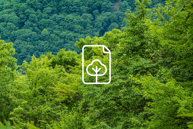 An icon representing environmental product declarations overlaid on a vibrant green forest background.