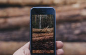 close-up-hand-taking-photo-logs-with-mobile-phone