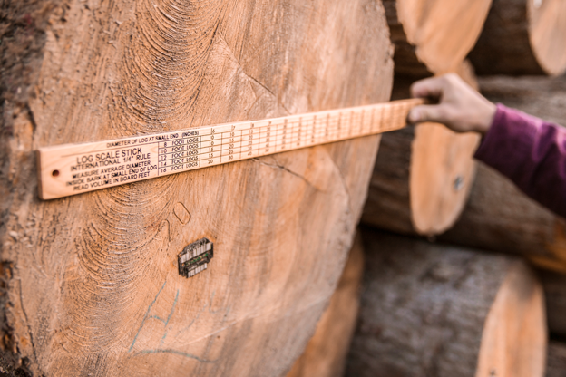 us05cl_3595_final-(1)