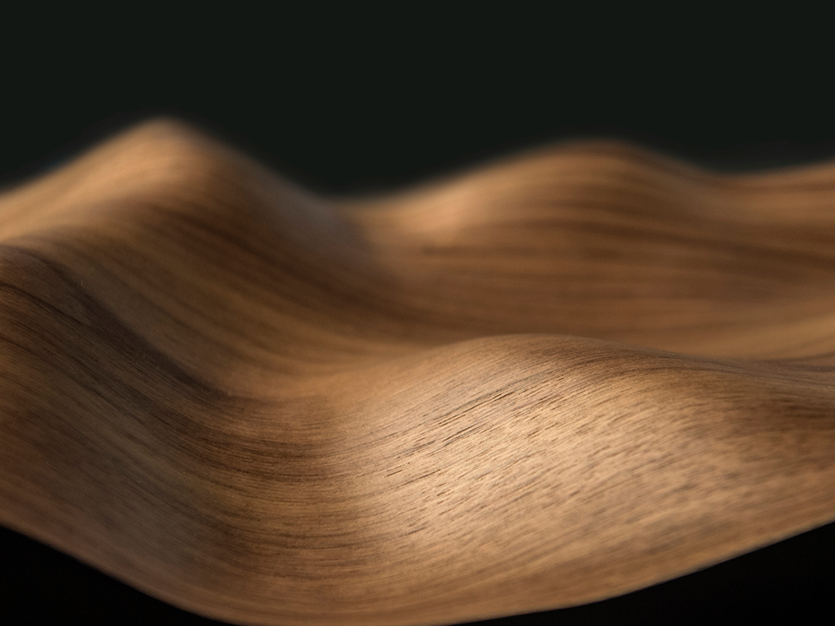 3D_veneer Header