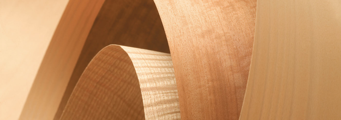 Standard-Veneer-Banner