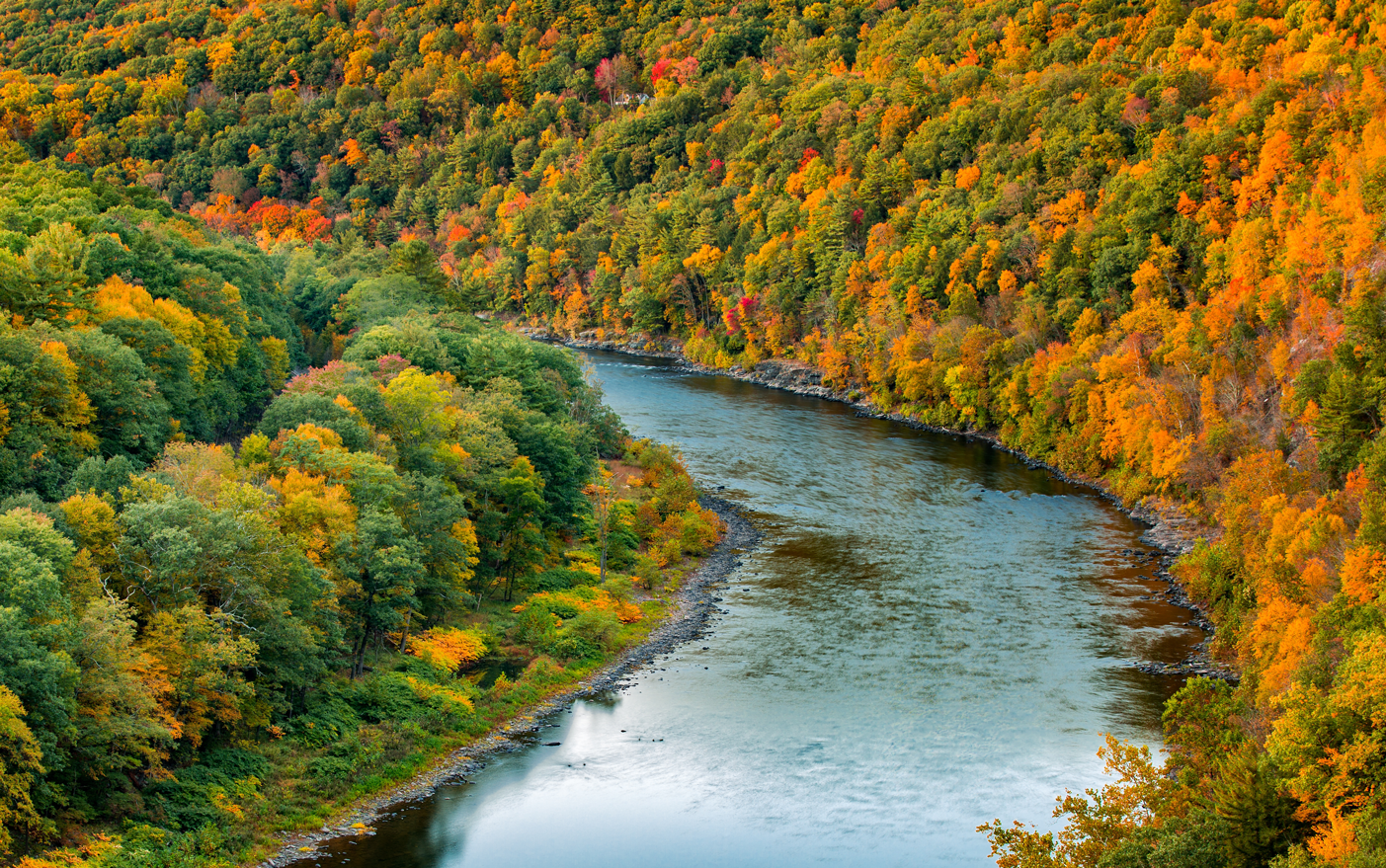 shutterstock_326761055_formholder