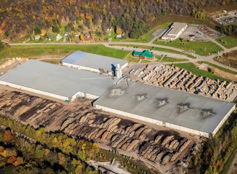 Bradford Forest, Inc. was renamed Danzer Lumber North America, Inc. on January 1st, 2018.  The production facility in Bradford, PA is one of the tenth largest hardwood sawmills in North America.
